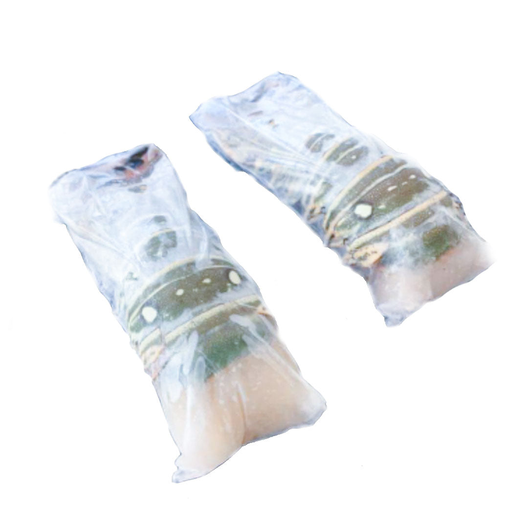 Frozen Lobster Tail Lui Foods Fish Store