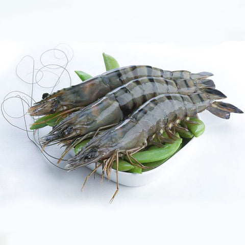 Black Tiger Prawns