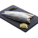 Sea bass Fillet