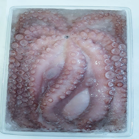 Frozen Octopus Gutted