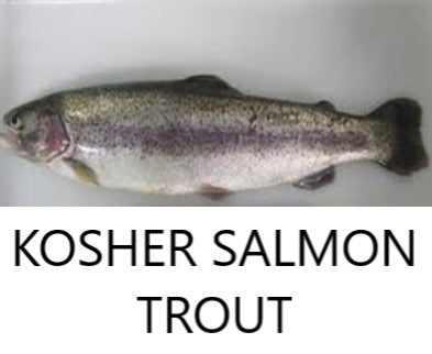 Kosher Salmon Trout (Whole)