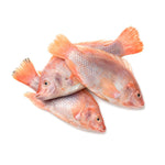 Red Tilapia (Whole)