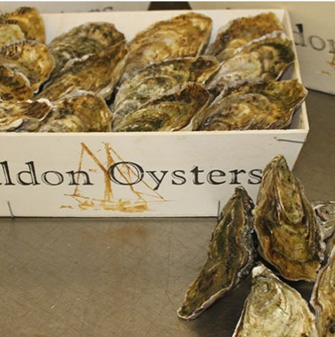 Oysters from Maldon (Fresh) 1pc