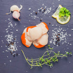 Fresh Scallops