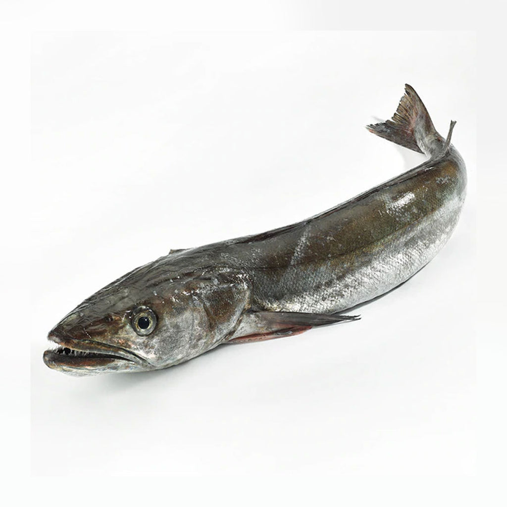 Hake Whole Lui Foods Fish Store hake-whole-lui-foods-fish-store