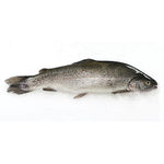 Rainbow Trout (Whole) 280g
