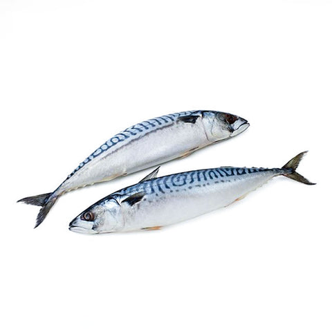 Mackerel (Whole)