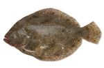 Brill (Whole)