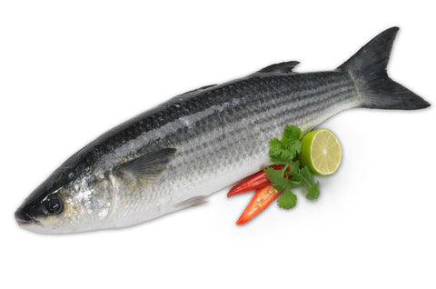 Grey Mullet (Whole)