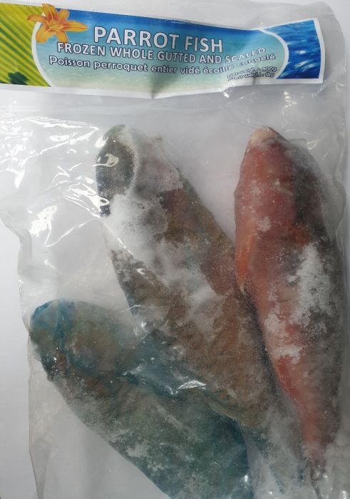 Parrot Fish (Frozen) 1kg – Lui Foods Fish Store